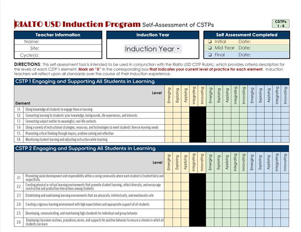 6. CSTP Self assessment